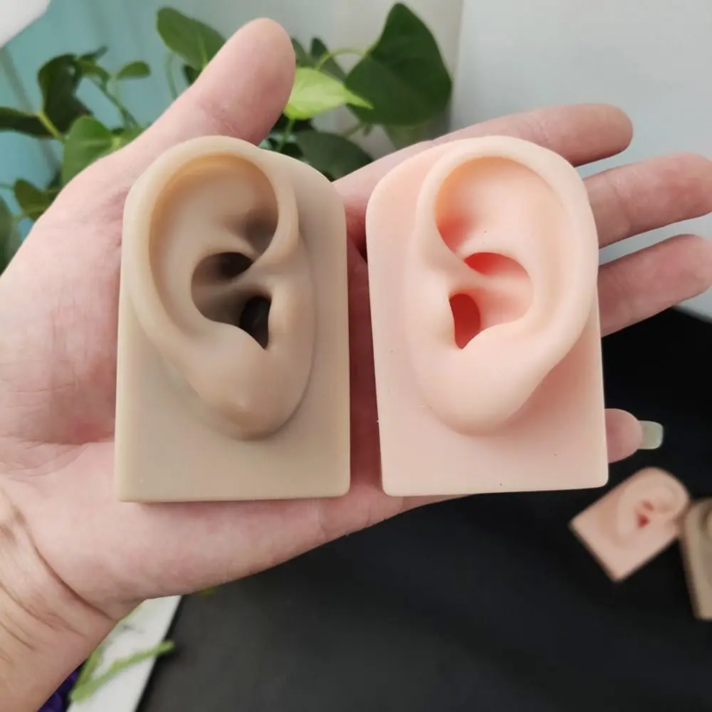 1tk Uus Silikoon Kõrva Mudeli Simulatsiooni Inimese Kõrva Kõrvarõngad Ekraan Augustamine Koolitus Rekvisiidid Algaja Tava Kõrva Rekvisiidid