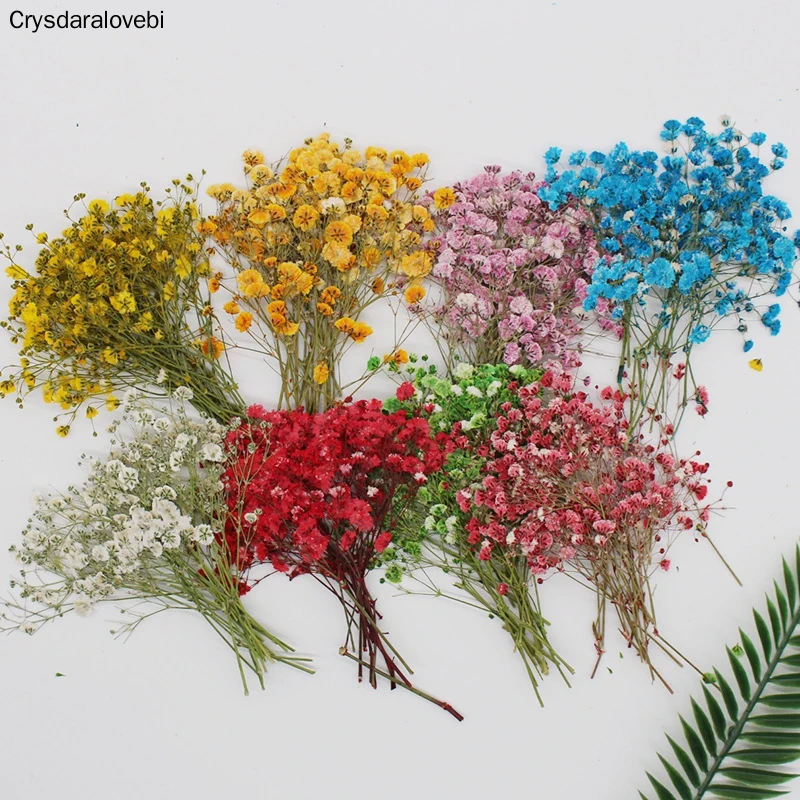 60 Tk Loomulik Gypsophila Kuivatatud Lilled Väike Lilled, Kimp Kuiv Lilled Vajutage Mini Dekoratiivsed Fotograafia Taust Decor